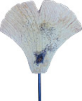 Skulptur Ginkgoblatt I