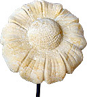 Skulptur Margeritenblüte